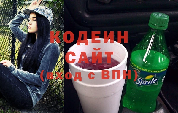 крисы Сатка