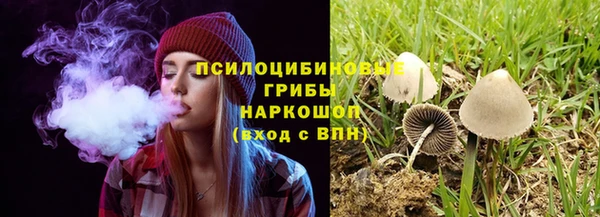 стафф Балахна