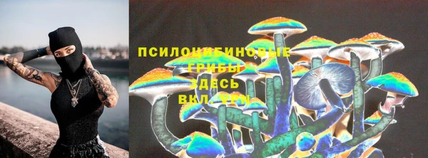 стафф Балахна