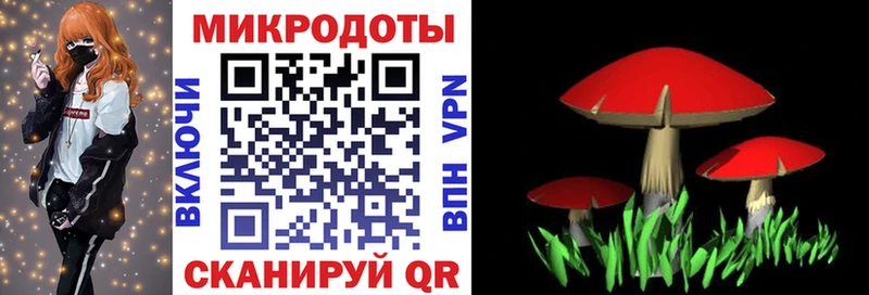 Псилоцибиновые грибы мухоморы  Котельниково 